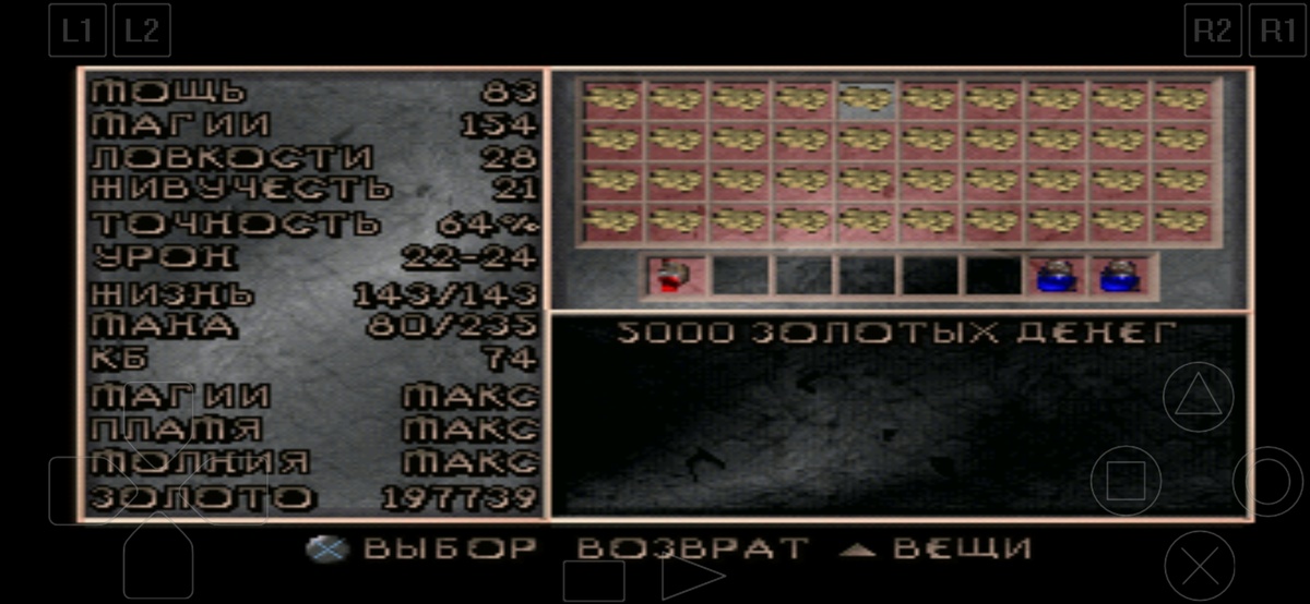 Скриншот из игры 