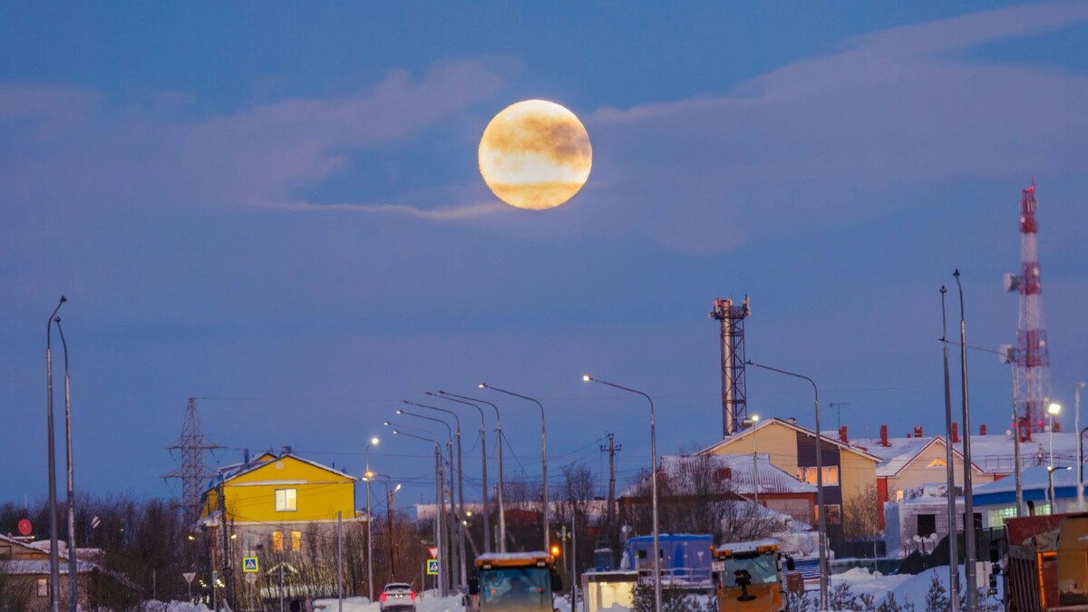    Фото: Федор Воронов / «Ямал-Медиа»