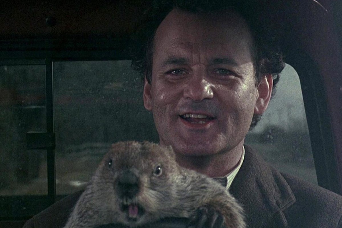 Фото из открытого источника