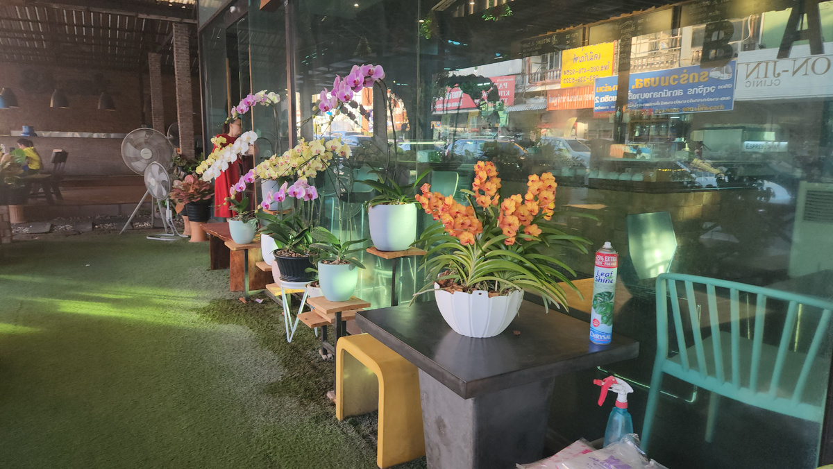 Кафе с цветами 