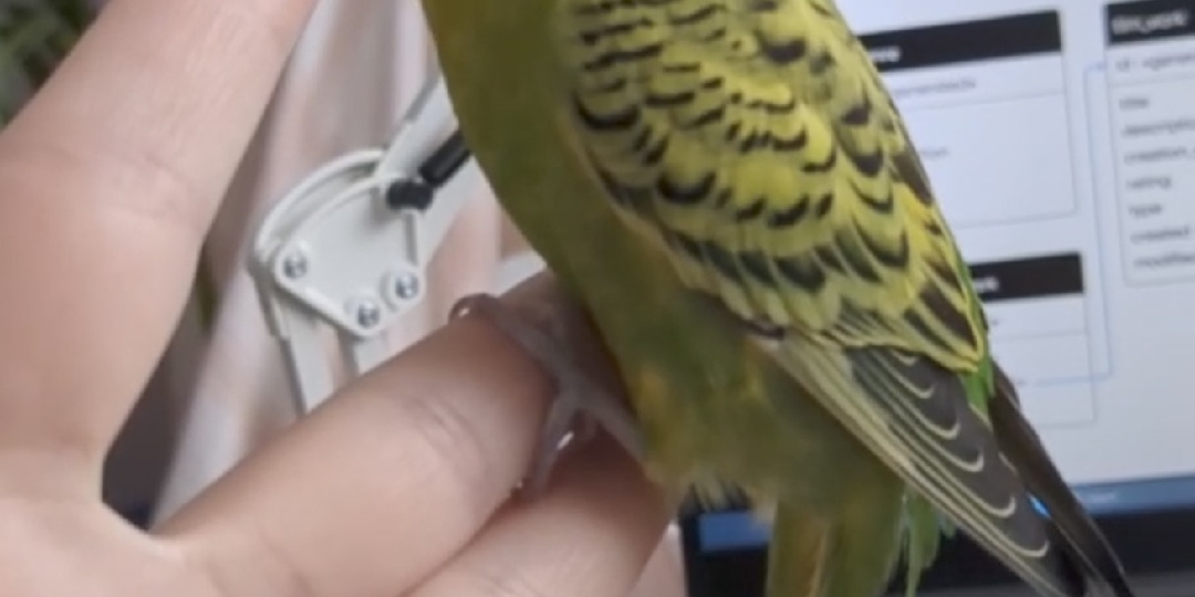 1.02.2026. Что прячется в наших морозилках: ревизия запасов