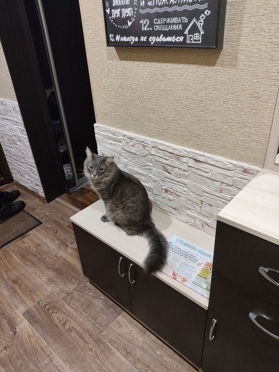 Фотографии в статье авторские. 