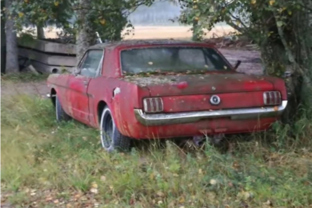 Фото из общего доступа в интернете (автомобиль Каролины)