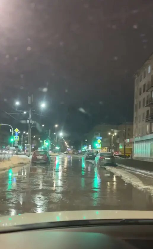    Фото: скриншот из видео в телеграм-канале «Приморский район Спб».