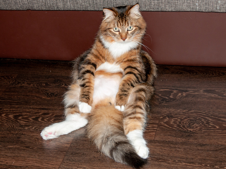     ФОТО: @Svetlana Vozmilova/Global Look Press