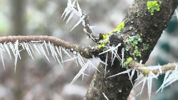    © РИА Новости Крым