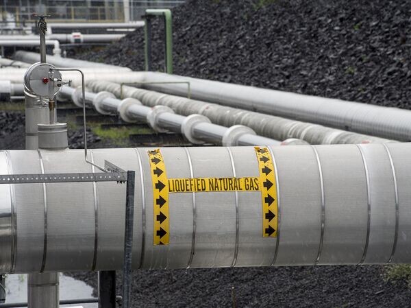    © AP Photo / Cliff Owen