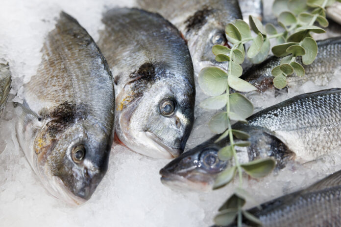    Как Беларусь, не имея выхода к морю, стала ведущей морской державой Евразии.