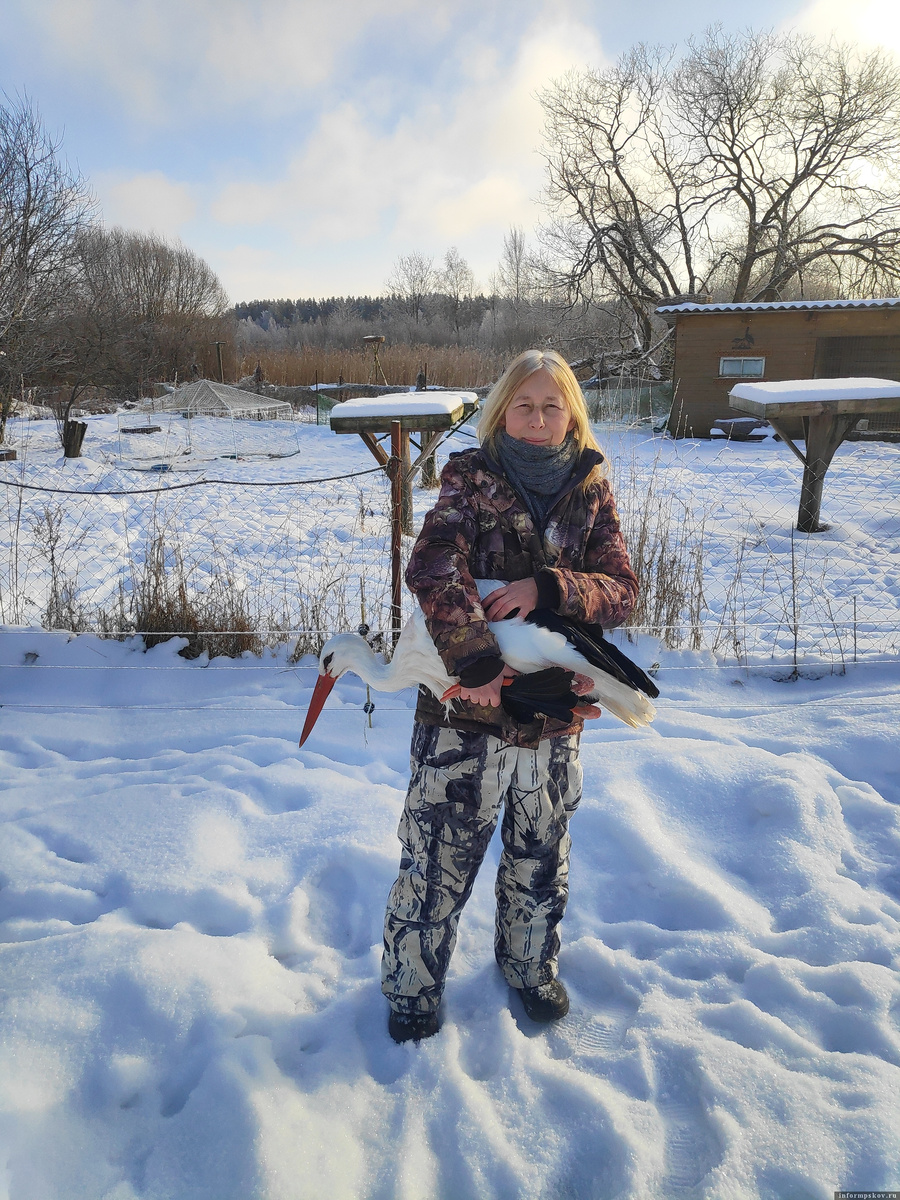 Фото из группы «Дом белого аиста» в соцсети «ВКонтакте»