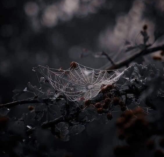 Как сделать приворот по фотографии в домашних условиях