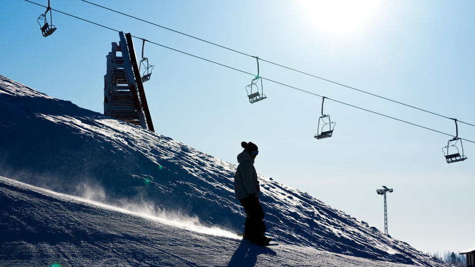    ИЗВЕСТИЯ/Дмитрий Коротаев