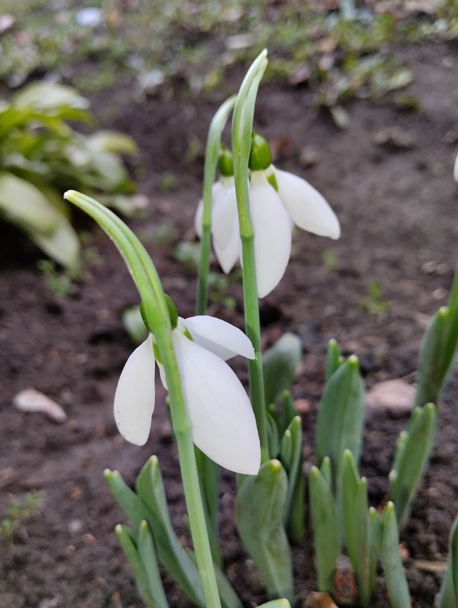 Фото автора. Это вам от меня 🥰