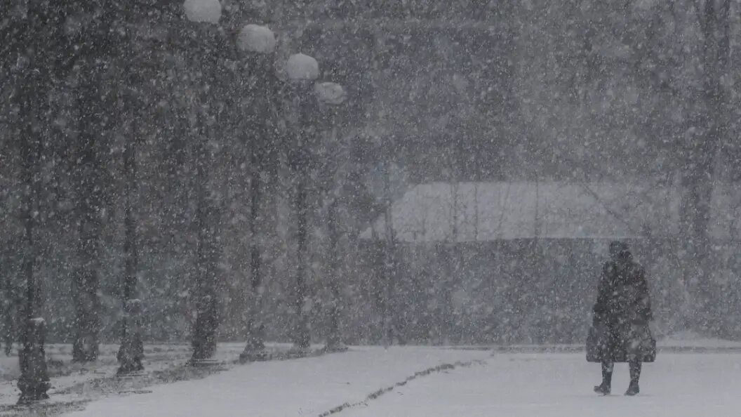    Олег Рукавицын/Царьград