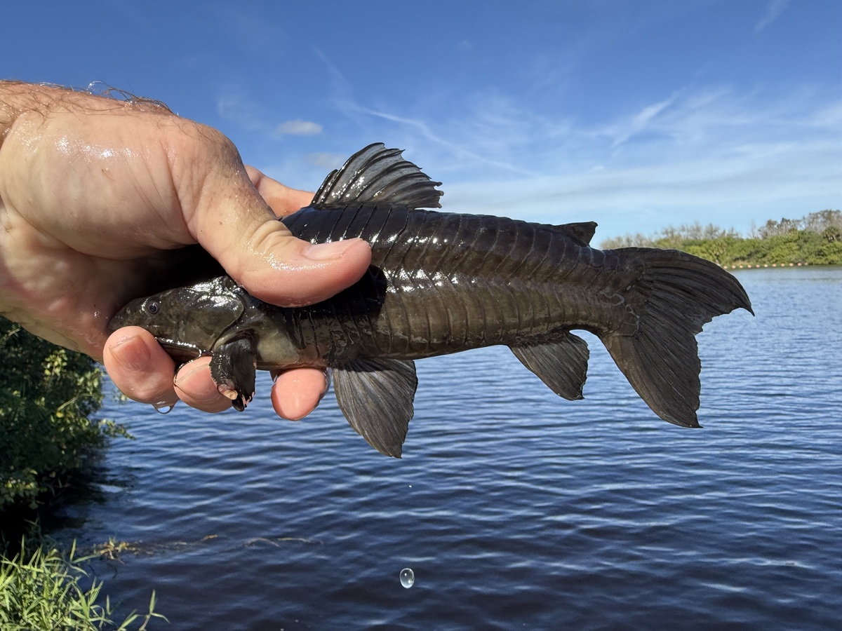 Это замечательно, что напишешь. А отпустить меня можно?
