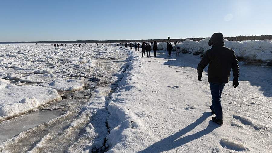    Фото: REUTERS/Lukasz Glowala