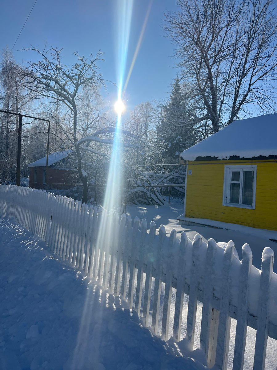 Все фото: канал Зоркий 