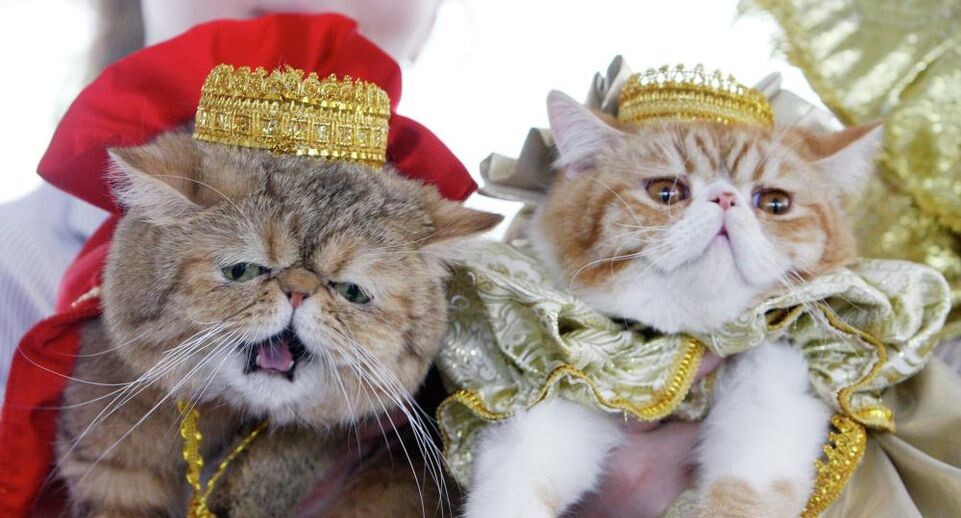    РИА «Новости»