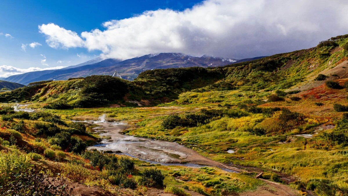    Фото: Newlander90/Shutterstock/Fotodom