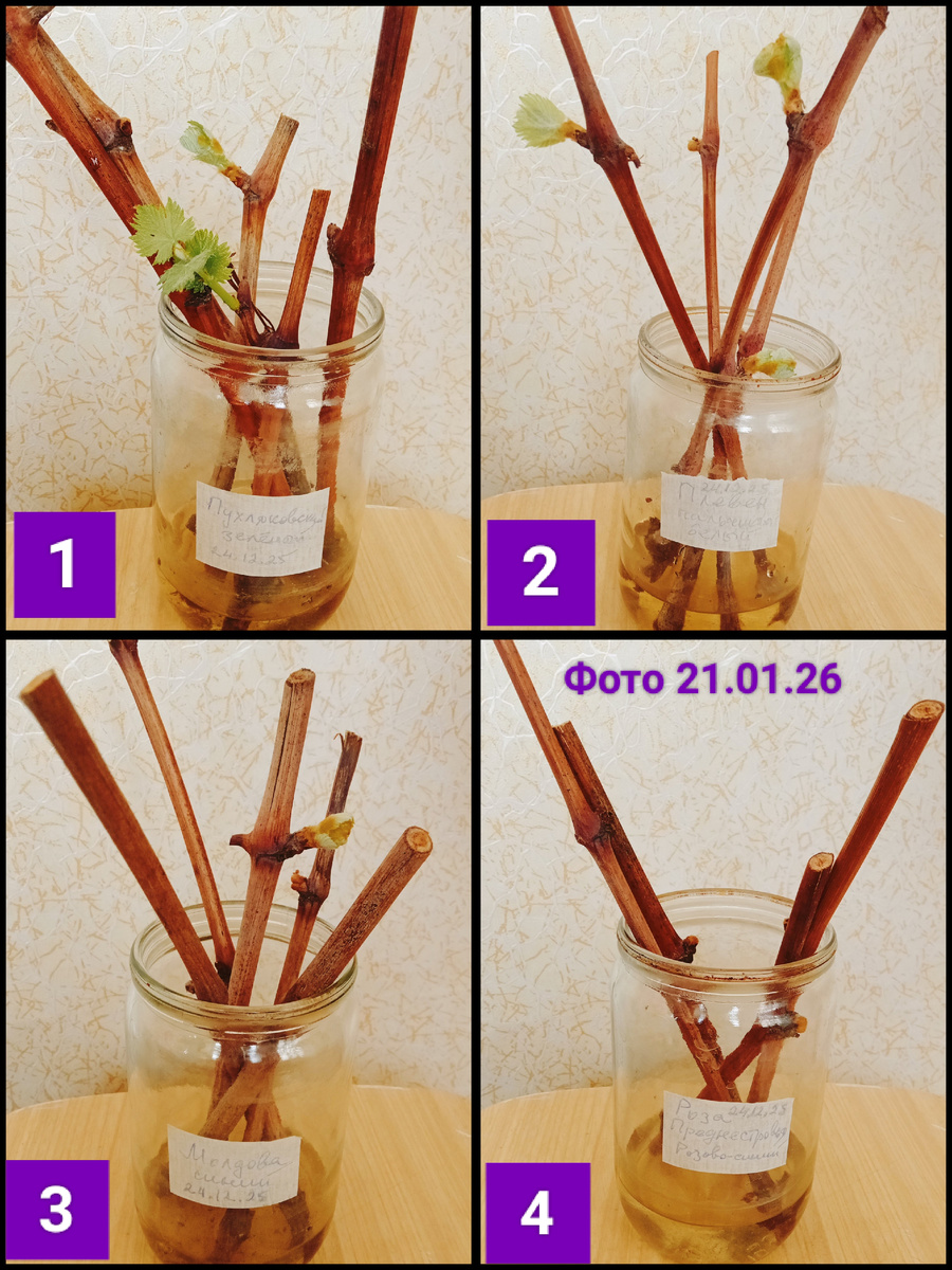 Банки подписаны, но на фото плохо видно)