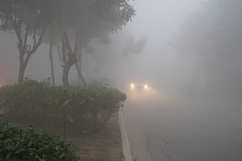    Shutterstock/FOTODOM