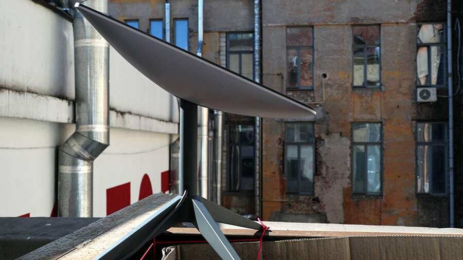    Фото: Global Look Press/Nina Lyashonok