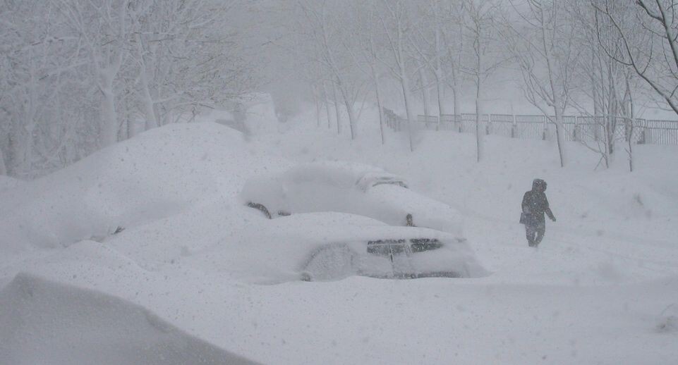    Alexandr Arkhipov/Russian Look / www.globallookpress.com