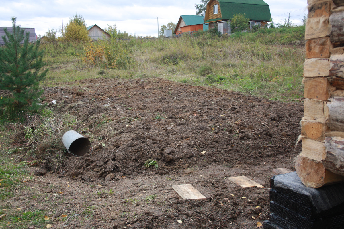 вид на будущий огород