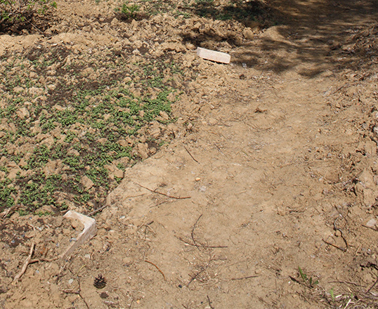 первозданная глина 2017 г