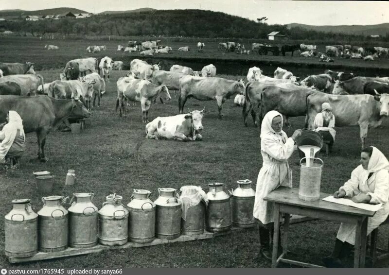 Ферма в СССР.