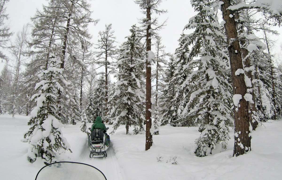 Юрий Смитюк/ТАСС, архив