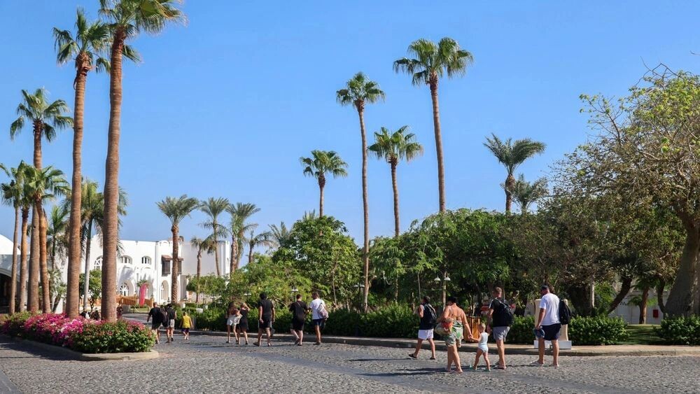    Фото: eanstudio/Shutterstock/Fotodom