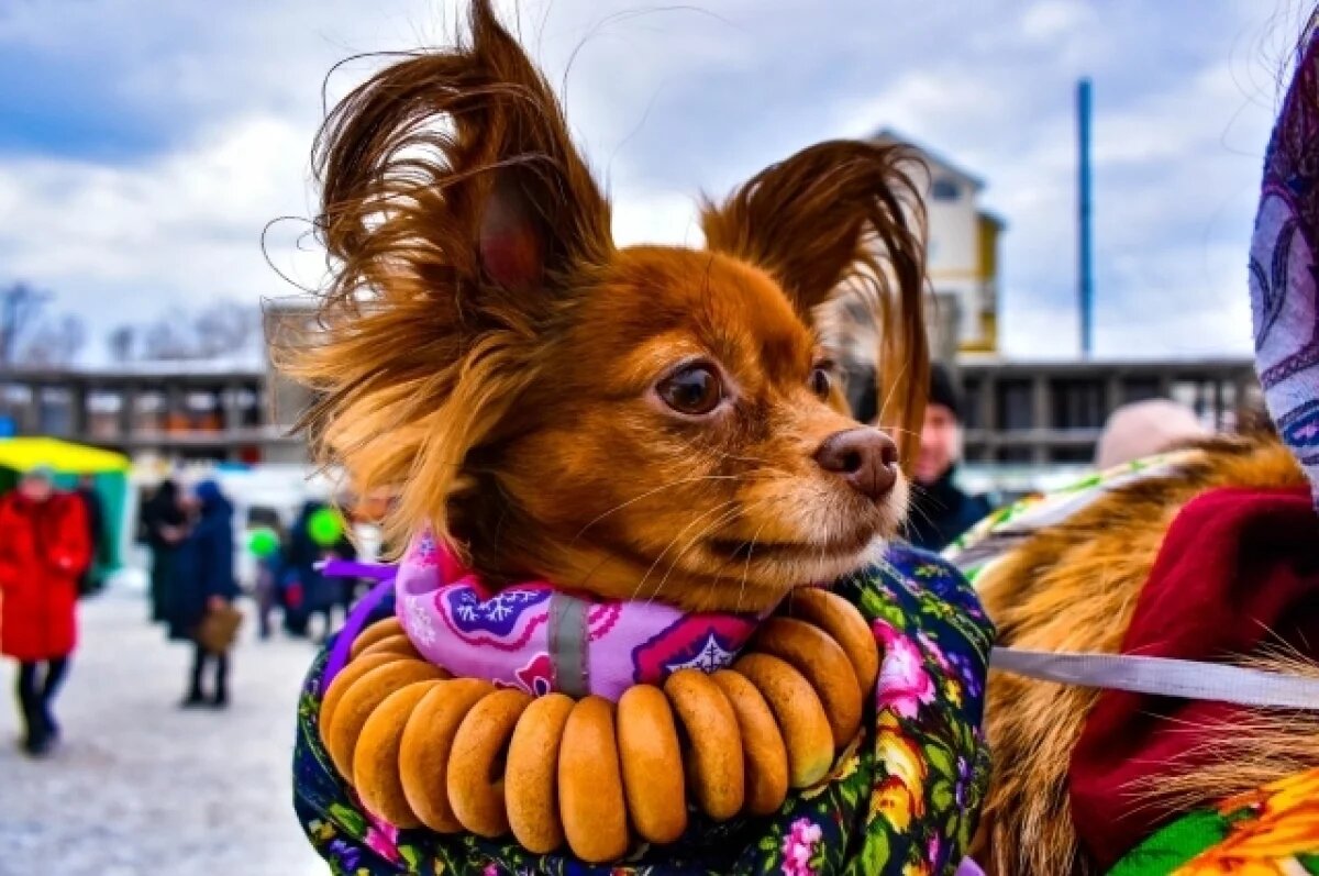    Праздники февраля 2026.