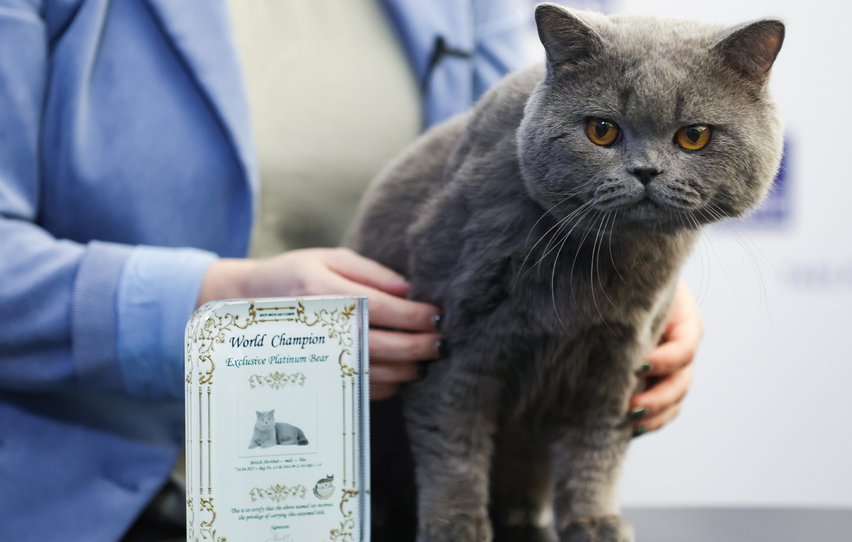    Эксклюзив  Кирилл Кухмарь/ТАСС