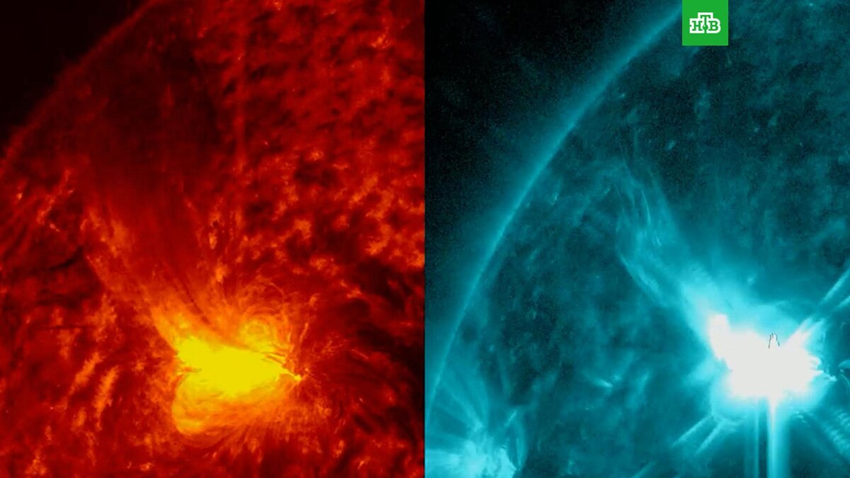    Фото: lpixras / t.me