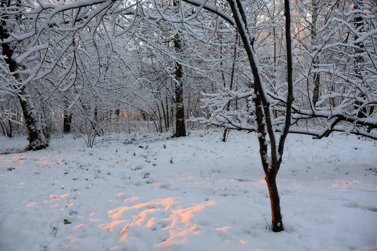 Синоптики предупреждают о мощном снегопаде.  Фото: Фото: ФедералПресс / Вера Романескул