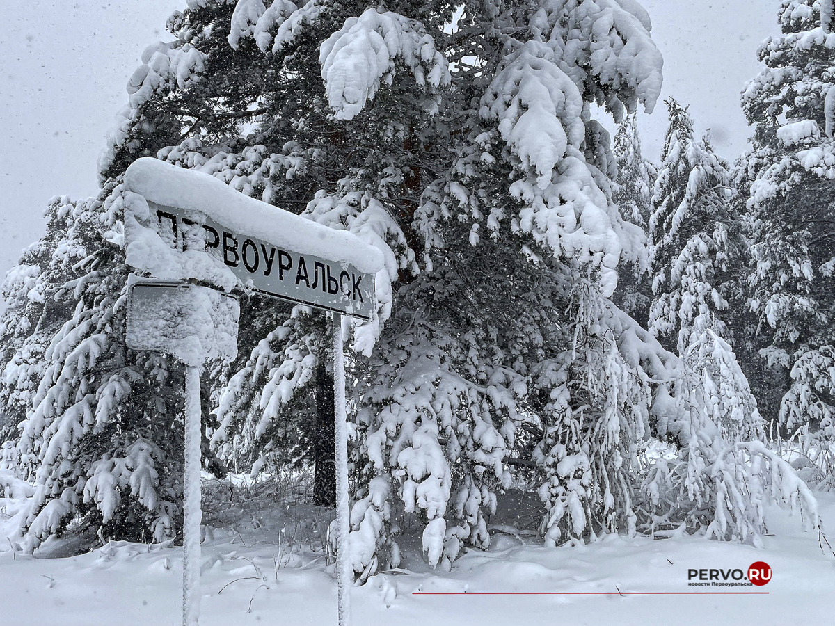 Фото Кравчук Максим / www.pervo.ru