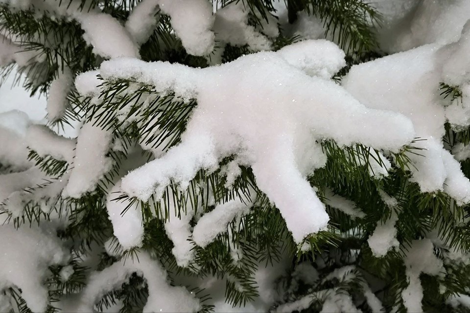    Затяжных снегопадов не ожидают Анна КОВАЛЁВА