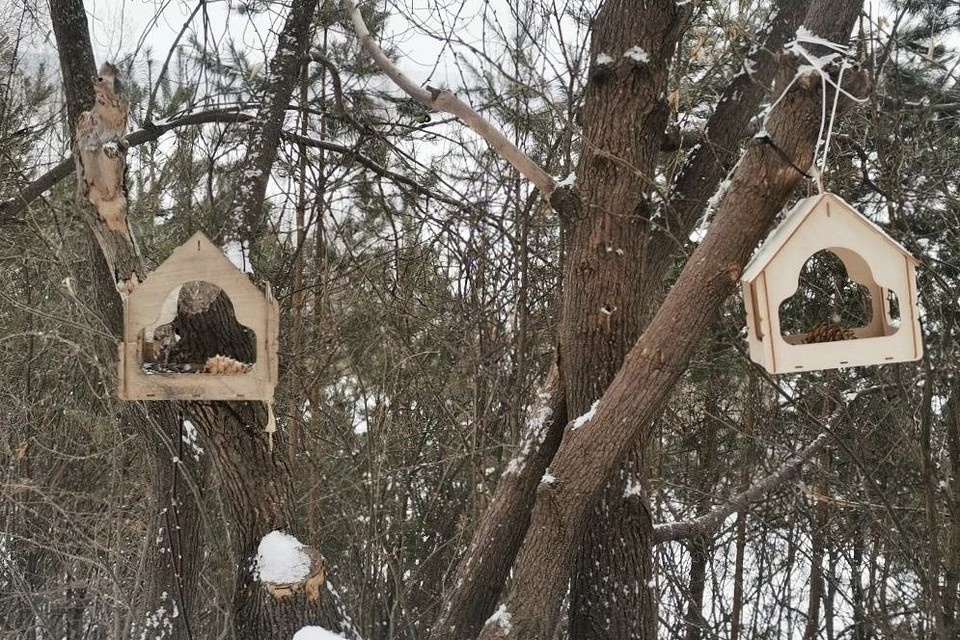   В течение нескольких днгей солнце будет радовать горожан лучами. Фото: Людмила Ковалева