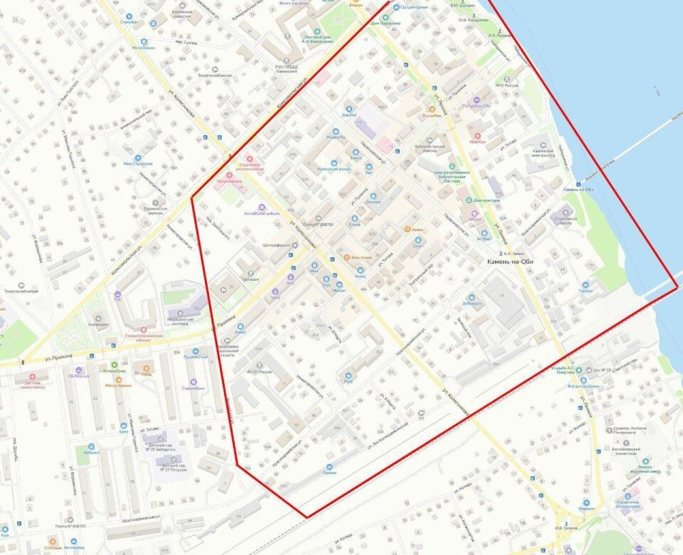    Участки улиц, неблагополучных по бешенству в Камне-на-Оби. Источник: t.me/zaharova_sn