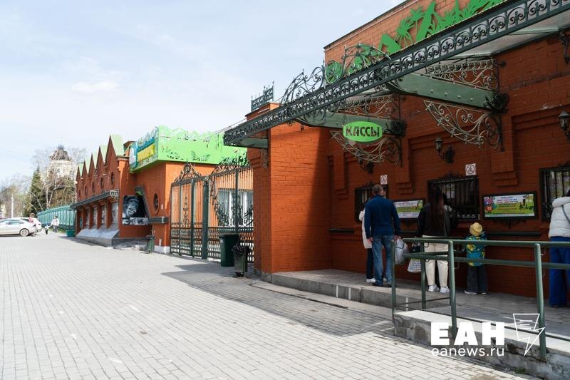    Фото: ЕАН / Екатеринбургский зоопарк