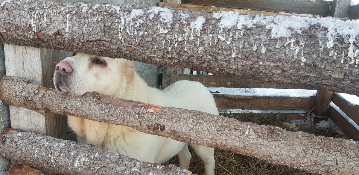    Ирина Меркова