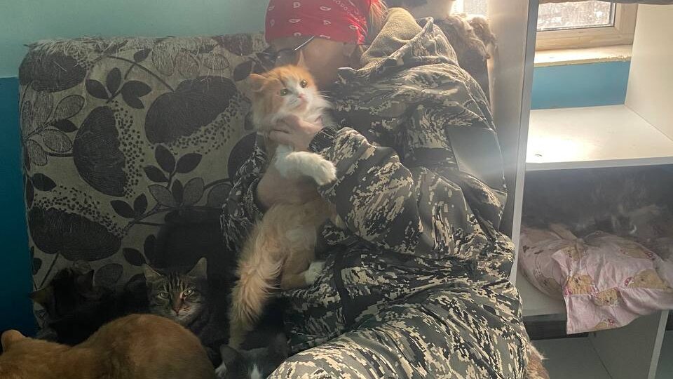 В приюте заканчивается ВСЁ