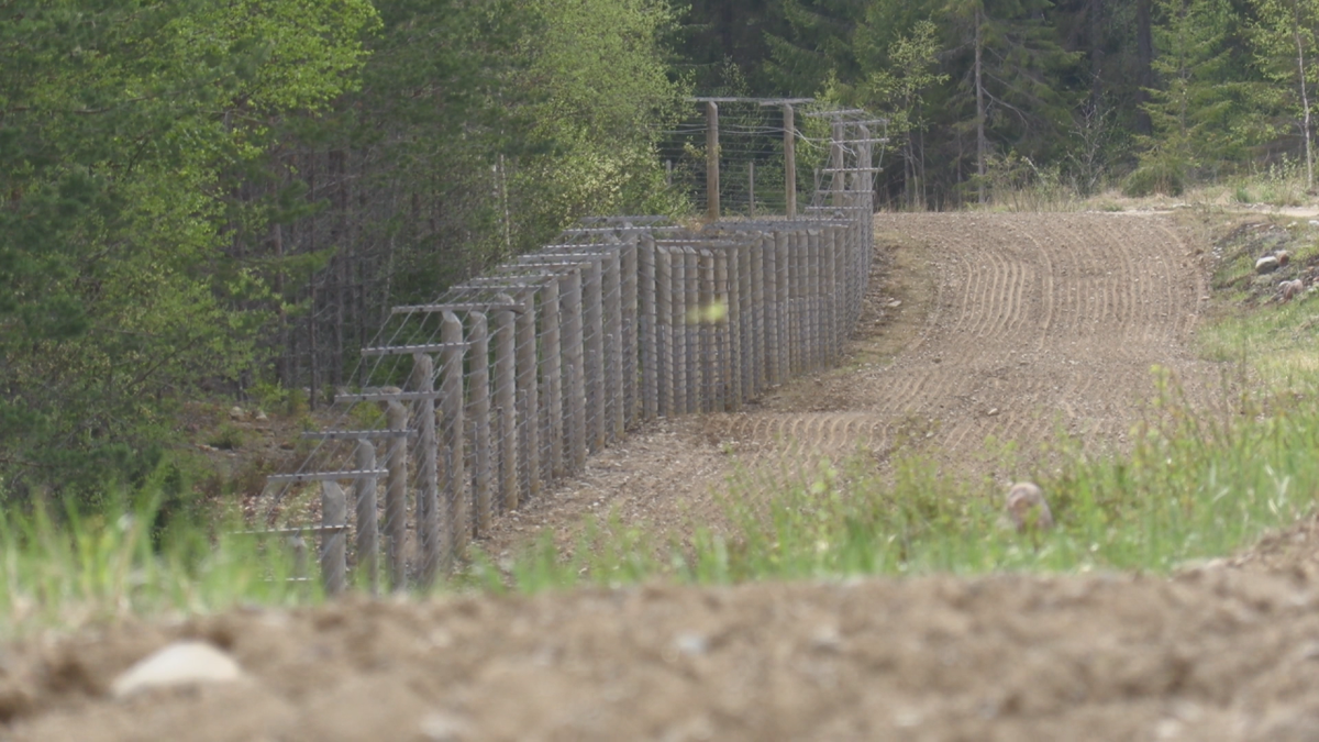    Граница Карелия - Финляндия. Фото: "Республика" / Марина Бедорфас