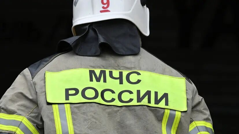    Фото: russian.rt.com Диана Петровская