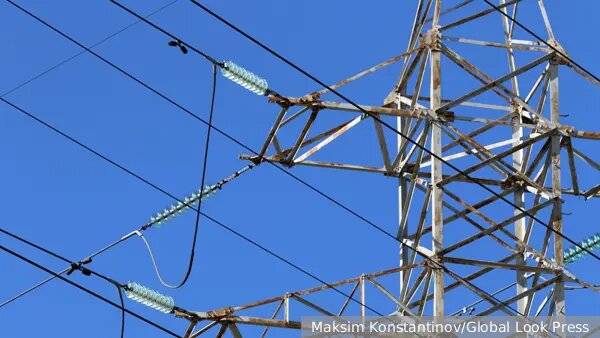    Фото: vz.ru Анна Тихомирова