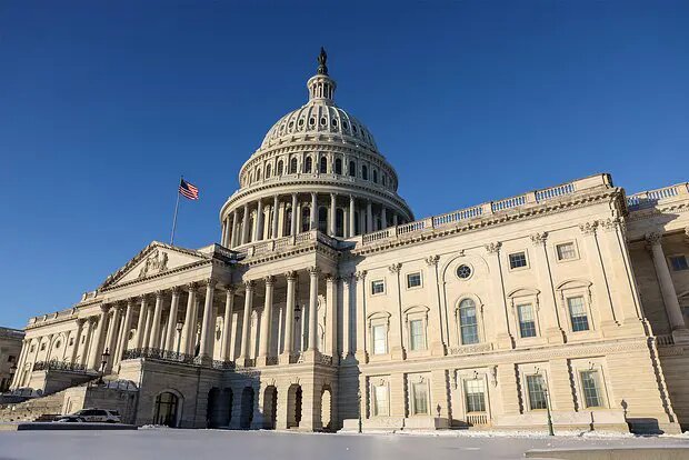    Фото: lenta.ru Диана Петровская