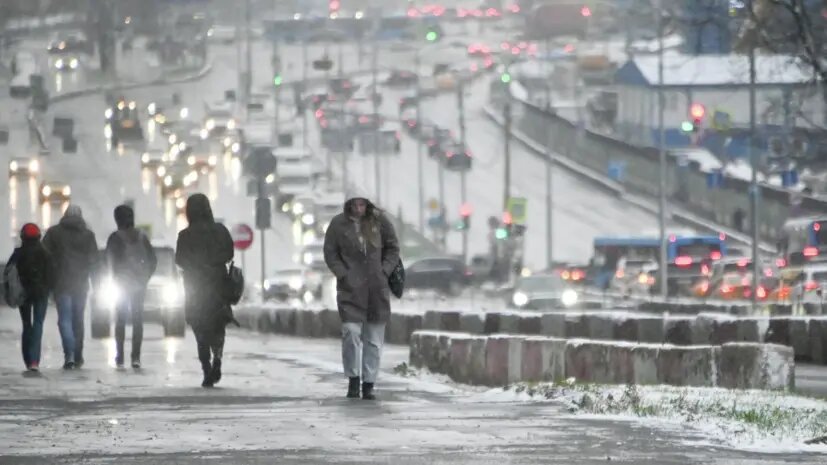    Фото: russian.rt.com Алла Бородина