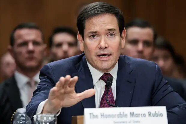    Фото: lenta.ru Анна Тихомирова