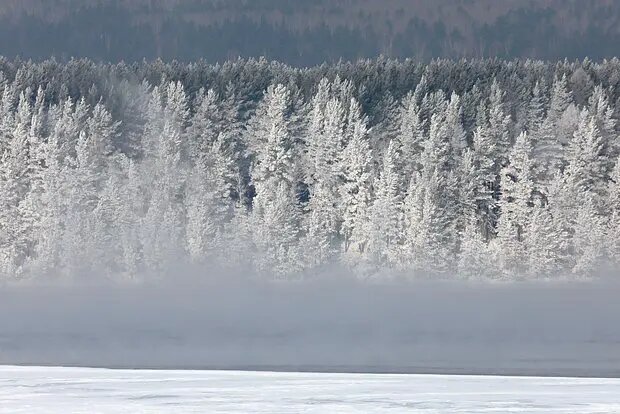    Фото: lenta.ru Алла Бородина