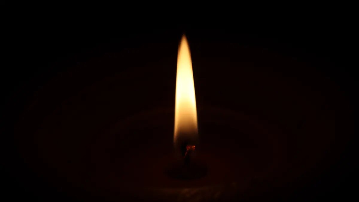    Фото: vm.ru Анна Сычева